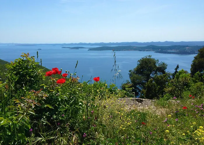 Holiday home Peter's Beachside Retreat