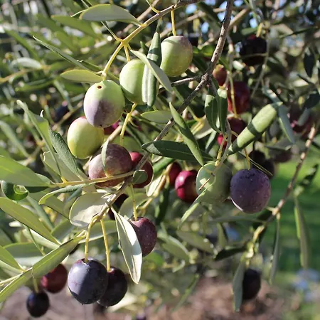 Peter's Beachside Retreat Сasa de vacaciones *